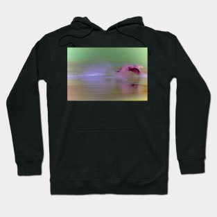 FULLY CHARGED CORMORANT Hoodie